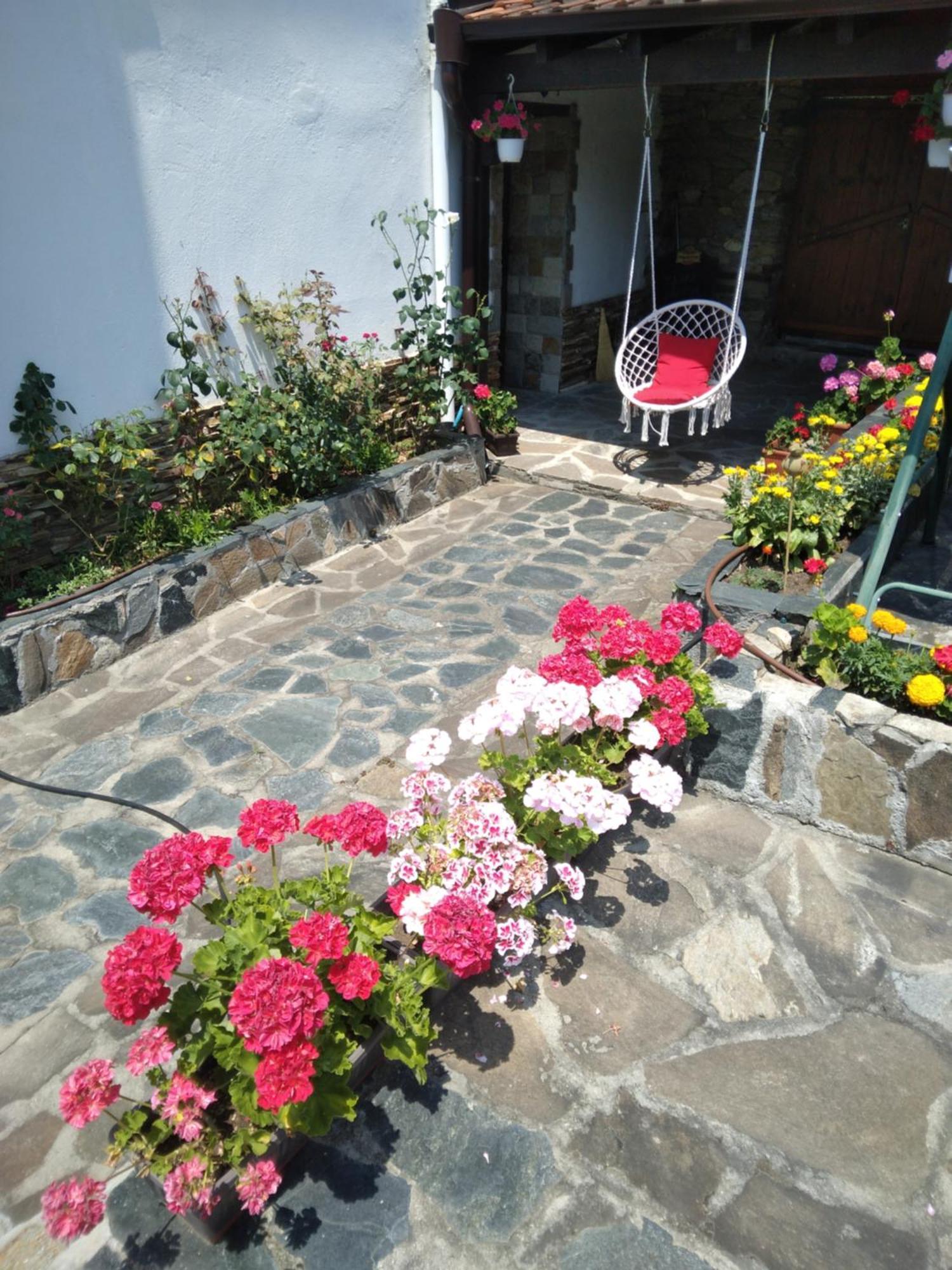 Guest House Popov Marchevo Exteriér fotografie
